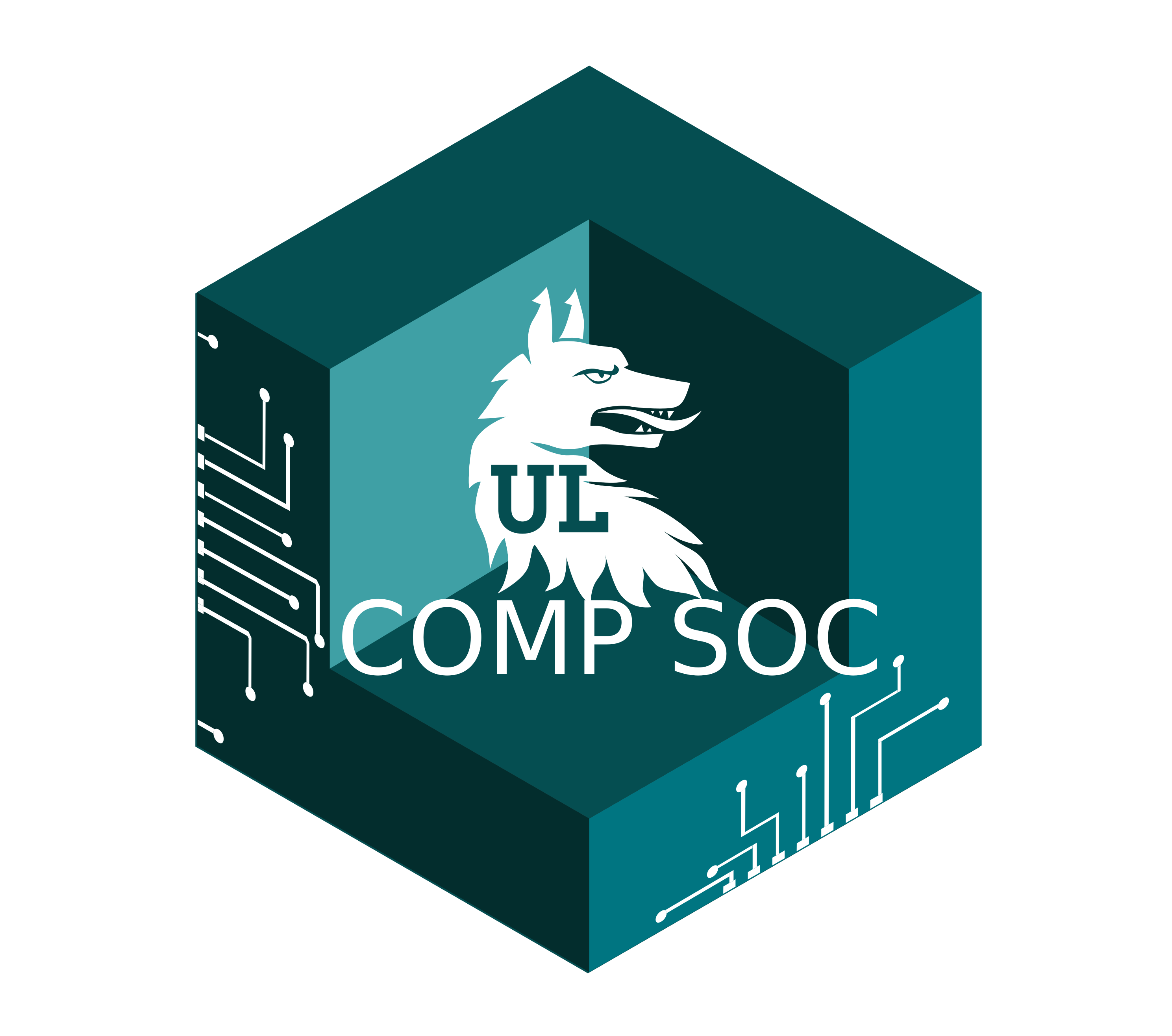 University of Limerick Computer Society Logo